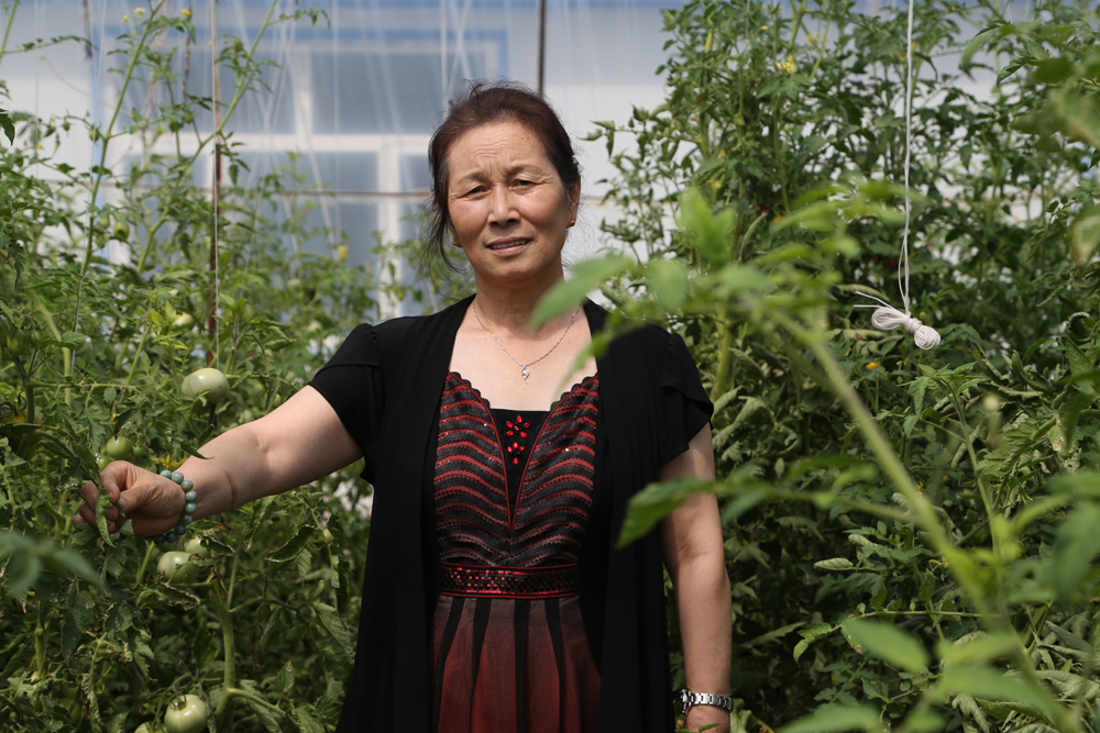 金沙检测线路js95(集团)有限公司官网